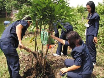 Tree Planting at factory in Thailand